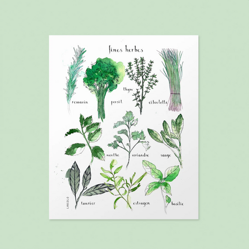 Affiche 'Fines herbes' à l'aquarelle 11x14 par Laucolo