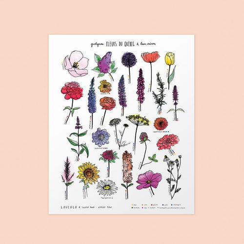 Affiche d'illustrations de Fleurs du Québec à l'aquarelles et à l'encre au format 11' x 14' po au papier blanc recyclé par Laucolo