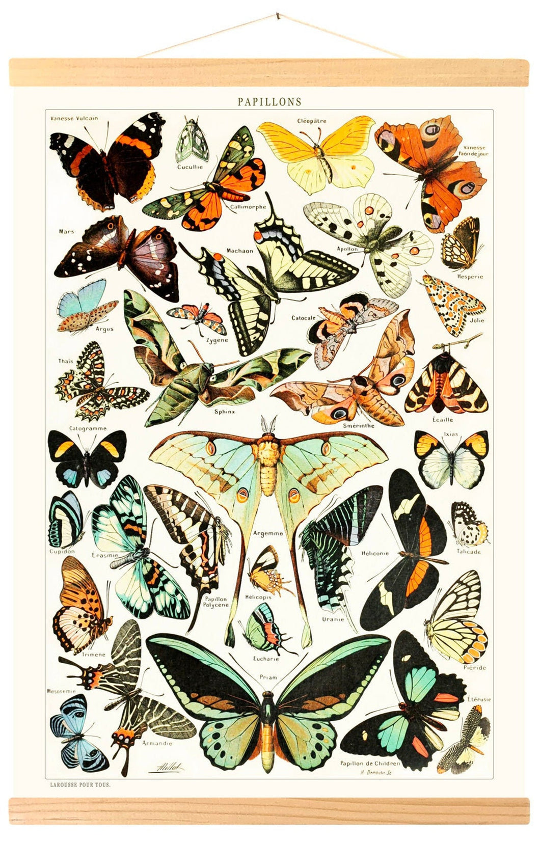 Affiche Vintage Papillons illustré par Adolphe Millot par Tramway Pacific