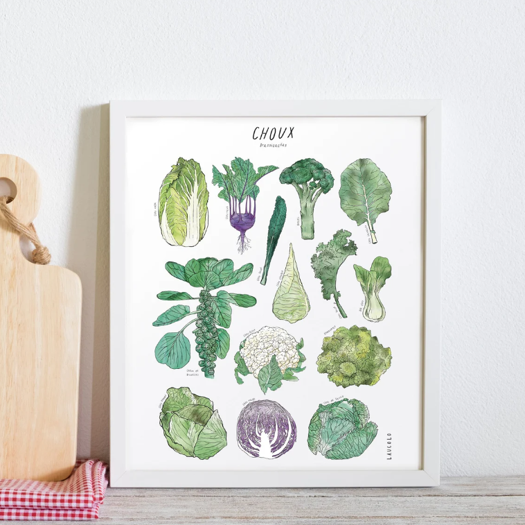 Affiche d'illustrations de 14 légumes choux en carton blanc ou kraft recyclé en 11'x14' po par Laucolo