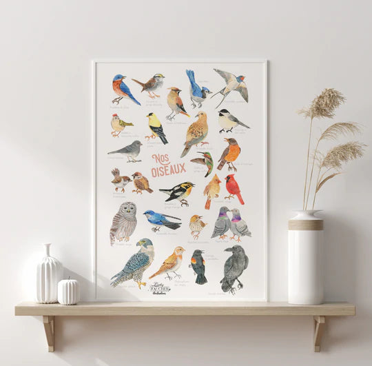 Affiche d'illustrations d'oiseaux du Québec à l'aquarelle par Cathy Faucher format 14'x18' po