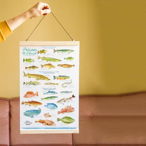 Affiche 'Les poissons du Saint-Laurent' illustré à l'aquarelle par Cathy Faucher
