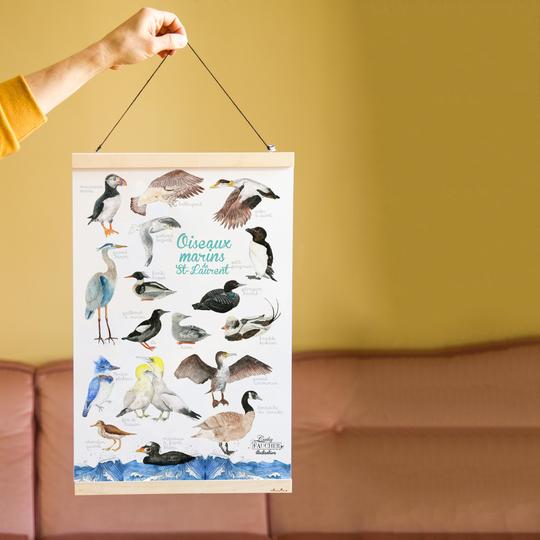 Affiche 'Oiseaux marins du Saint-Laurent' illustré à l'aquarelle par Cathy Faucher au format 12'x18' po
