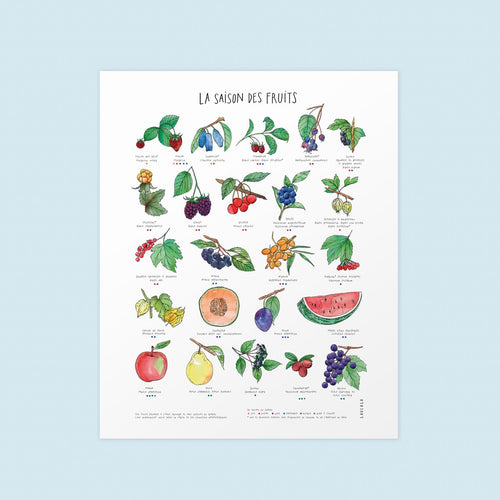 Affiche 'La saison des fruits' à l'aquarelle et aux crayons de couleurs 11x14 par Laucolo