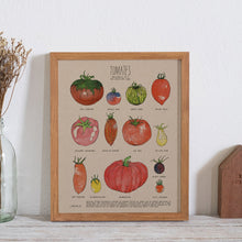 Charger l&#39;image dans la galerie, Affiche &#39;Tomates&#39; illustrée à l&#39;aquarelle par Laucolo
