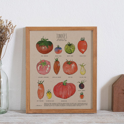 Affiche 'Tomates' illustrée à l'aquarelle par Laucolo