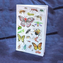 Charger l&#39;image dans la galerie, Cahier de notes avec lignes au motif papillons et insectes réalisé à l&#39;aquarelle par Cathy Faucher. Couverture mat au format 5,5&#39; x 8,5&#39; po
