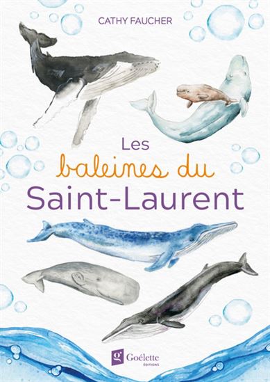 Livre 'Les baleines du Saint-Laurent' écrit et illustré par Cathy Faucher aux Éditions Goélette