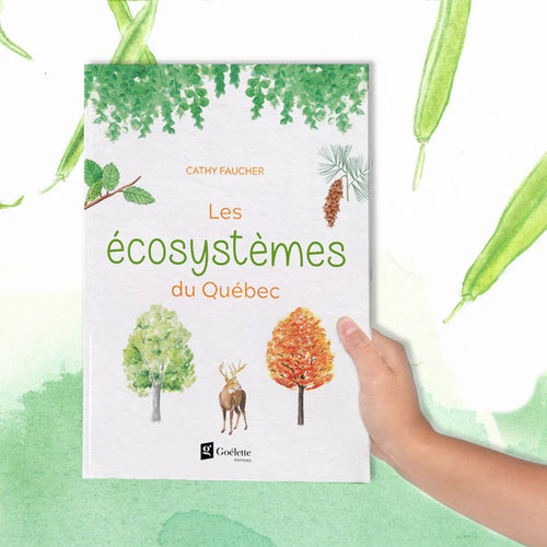 Livre 'Les écosystèmes du Québec' écrit et illustré par Cathy Faucher aux Éditions Goélette