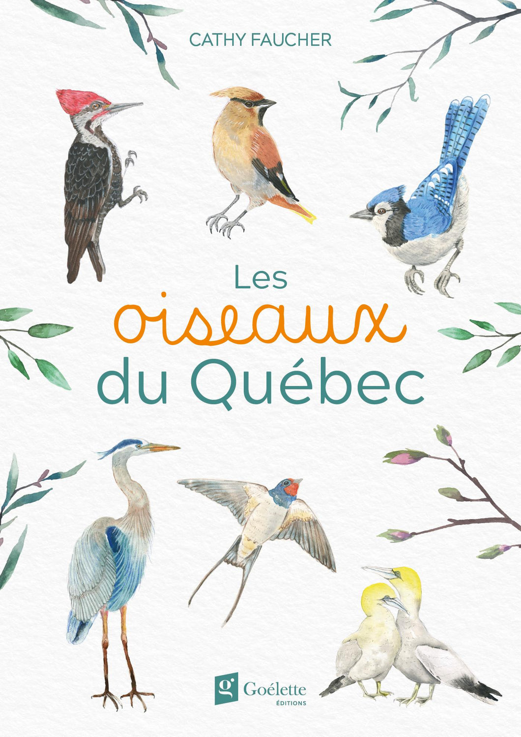Livre 'Les oiseaux du Québec' écrit et illustré à l'aquarelle par Cathy Faucher aux Éditions Goélette