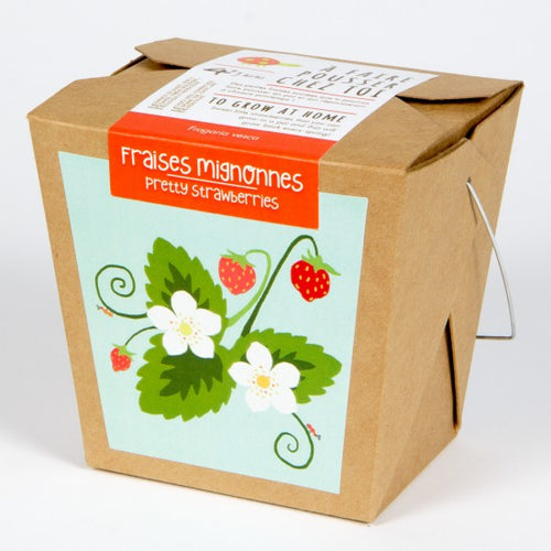 kit de plantation de fraises mignonnes 